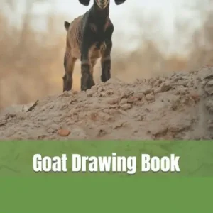 Wholesale Goat Drawing Book