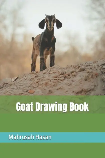 Wholesale Goat Drawing Book