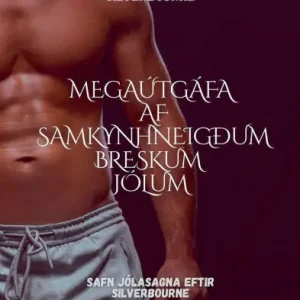 Silverbourne: Megaï¿½tgï¿½fa af samkynhneigï¿½um breskum jï¿½lum Safn jï¿½lasagna eftir Silverbourne Worldwide Shipping
