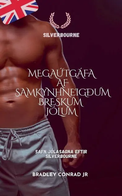 Silverbourne: Mega�tg�fa af samkynhneig�um breskum j�lum Safn j�lasagna eftir Silverbourne Worldwide Shipping
