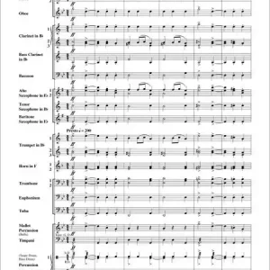 Special Offer Slavonic Dance No. 8
