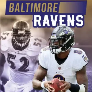 Clearance Baltimore Ravens