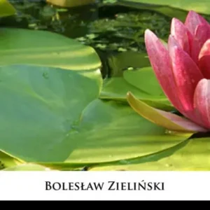 New Arrival Wodna Lilia: Opowiesc dla mlodziezy z czasów najkrwawszych walk Indian z amerykanskimi kolonistami