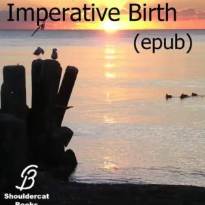 Carrena 3: Imperative Birth (epub) Buy Direct