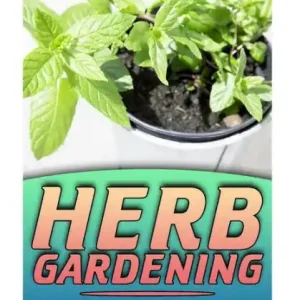 One Day Deal Herb Gardening: Indoors Herb Growing All Year Round: (Herbs, Growing Herbs)
