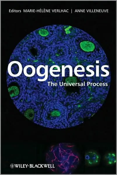 Limited Edition Oogenesis: The Universal Process