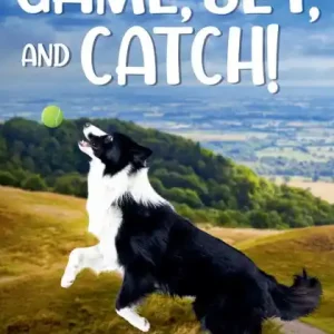 Direct From Manufacturer Game, Set, and Catch!