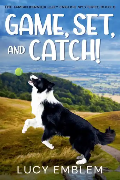 Direct From Manufacturer Game, Set, and Catch!
