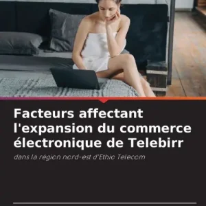 Facteurs affectant l'expansion du commerce ï¿½lectronique de Telebirr Big Sale
