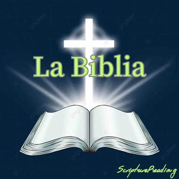 Best Seller La Biblia