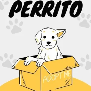 Diario Secreto de un Perrito Mega Sale