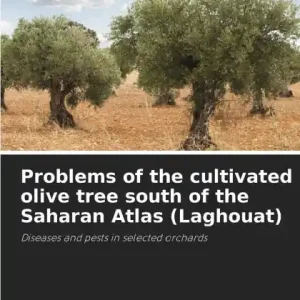 Fan Favorite Problems of the cultivated olive tree south of the Saharan Atlas (Laghouat)