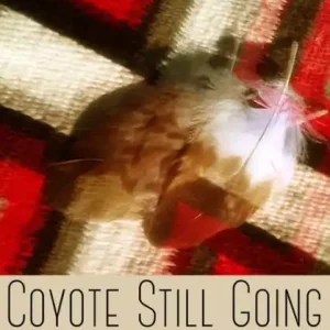 Coyote Still Going: Native American Legends and Contemporary Stories Latest