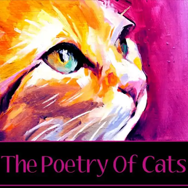 Worldwide Shipping The Poetry Of Cats