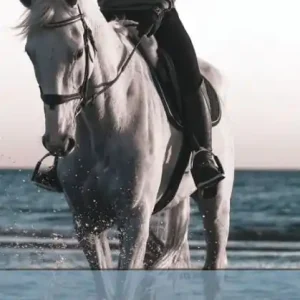 On Horsemanship (Esprios Classics): Translated by Henry G. Dakyns Professional Grade