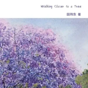 Walking Closer to a Tree: Simplified Chinese Edition Don’t Miss Out