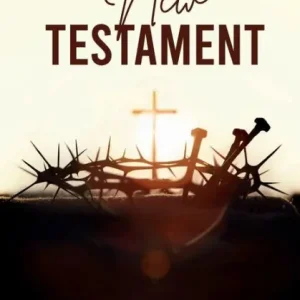 Tân U?c Lu?c Kh?o (New Testament) Professional Grade