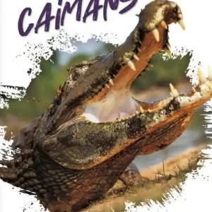 Caimans Limited Offer