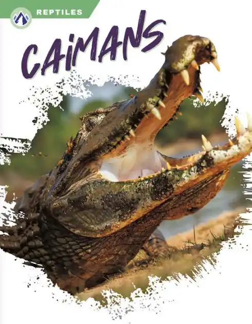 Caimans Limited Offer