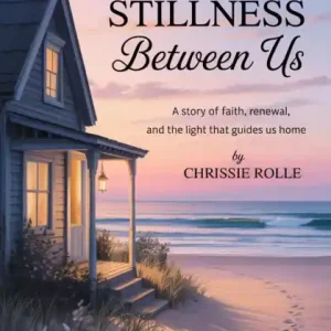 Seasonal Sale The Stillness Between Us
