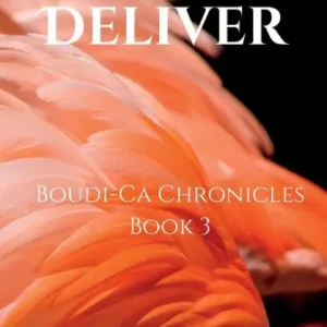 Buy Online Deliver: Boudi-Ca Chronicles Book 3