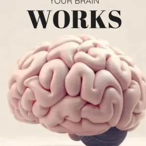 How Your Brain Works Final Sale
