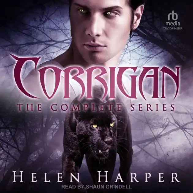 Modern Corrigan: The Complete Series