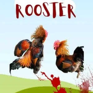 Place Order The Rooster