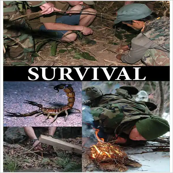 Save Now SURVIVAL