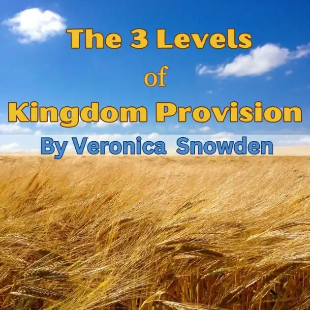 The 3 Levels of Kingdom Provision: Discover How God Provides For His Children Regardless of Income, Education or Background Popular