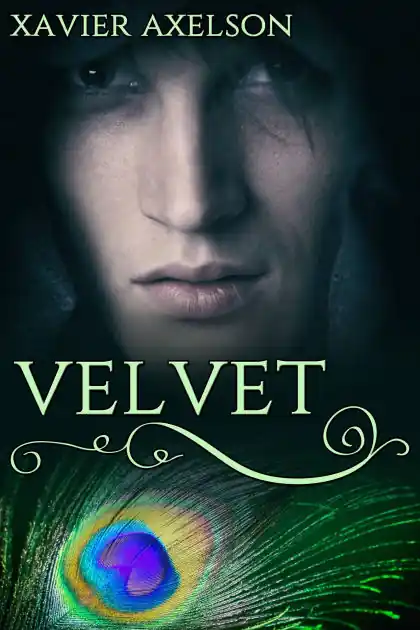 Professional Grade Velvet