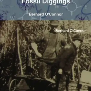 Price Drop The Suffolk Fossil Diggings