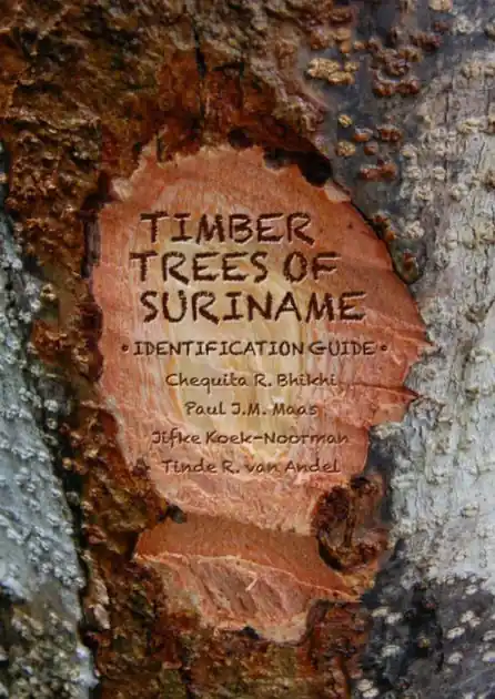 Holiday Sale Timber Trees of Suriname