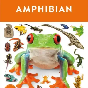 While Supplies Last Eyewitness Amphibian