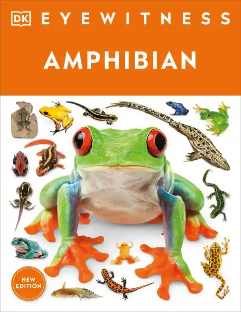 While Supplies Last Eyewitness Amphibian