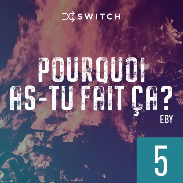 Free Shipping Pourquoi as-tu fait ça 5