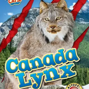 Canada Lynx Best Choice
