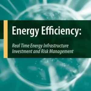 Limited Offer Energy Efficiency: Real Time Energy Infrastructure Investment and Risk Management