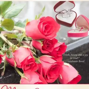 Marry Me, Maddie Seasonal Sale