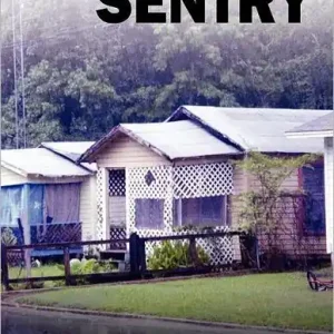 Raising Sentry Modern