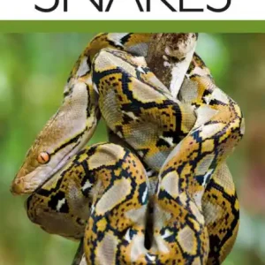 Snakes Final Sale