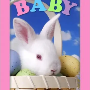 Springtime for Baby Weekend Sale