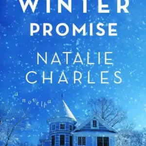 Clearance A Winter Promise (Archer Cove, #3)