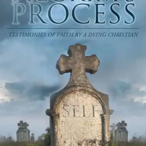 A Pilgrim's Process In Demand